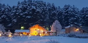 Agriturismo in sila